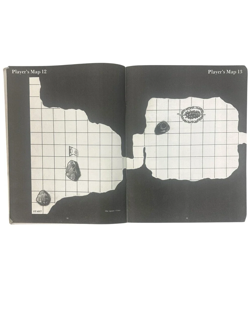 B-121 1983 TSR ADVANCED D&D ADVENTURE MODULE THE GEM AND THE STAFF